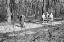 Skan negatywu, sygnatura 3074