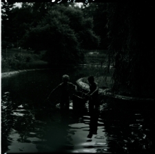 Skan negatywu, Sygnatura 3338