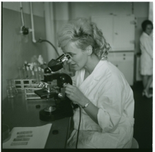 Skan negatywu, Sygnatura 3883