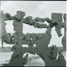 Skan negatywu, Sygnatura 4413