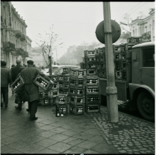 Skan negatywu, Sygnatura 7683