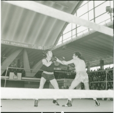 Skan negatywu, Sygnatura 14513