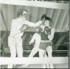 Skan negatywu, Sygnatura 14513