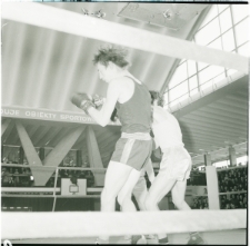 Skan negatywu, Sygnatura 14513