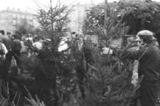 Skan negatywu, sygnatura 3050