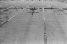 Skan Negatywu, Sygantura 3324