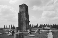 Skan Negatywu, Sygantura 3376