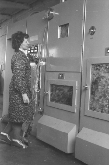 Skan negatywu, sygnatura 1662