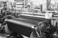 Skan negatywu, sygnatura 1664