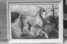 Skan negatywu, sygnatura 1898