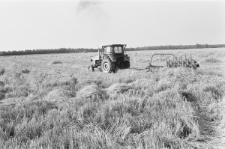 Skan negatywu, sygnatura 2860