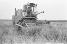 Skan negatywu, sygnatura 2860