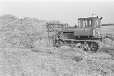 Skan negatywu, sygnatura 2860