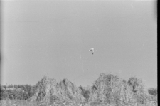 Skan negatywu, sygnatura 2860