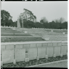 Skan Negatywu, Sygnatura 23672