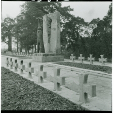 Skan Negatywu, Sygnatura 23672