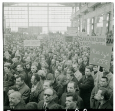 Skan Negatywu, 1 &ndash; 18 Wystawa ps&oacute;w, 19 &ndash; 30 Ślubowanie junak&oacute;w OHP