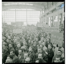 Skan Negatywu, 1 &ndash; 18 Wystawa ps&oacute;w, 19 &ndash; 30 Ślubowanie junak&oacute;w OHP