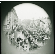 Skan Negatywu, Sygnatura 532