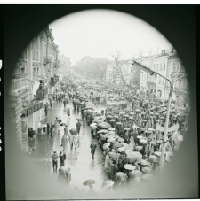 Skan Negatywu, Sygnatura 532