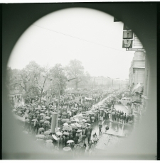 Skan Negatywu, Sygnatura 532