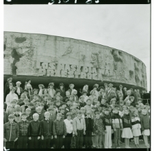 Skan Negatywu, 1 - 12 Manifestacja na Majdanku