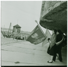 Skan Negatywu, 1 - 12 Manifestacja na Majdanku