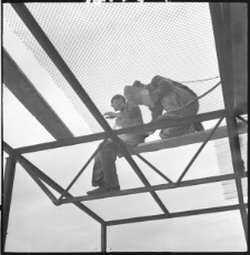 Skan Negatywu, Sygantura 2359