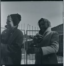 Skan Negatywu, Sygantura 2550