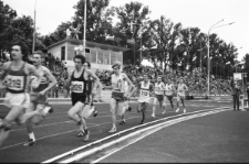 Skan Negatywu, Sygnatura 1137