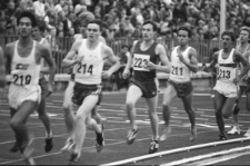 Skan Negatywu, Sygnatura 1137