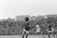 Skan Negatywu, Sygnatura 1138