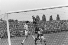 Skan Negatywu, Sygnatura 1138