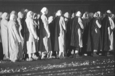 Skan Negatywu, Sygnatura 2082