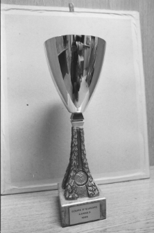 Skan Negatywu, 1 - 18 Leonarda ŁANIEWSKA, 19 - 21 Prof. MISILINA, 22 - 28 Migawki