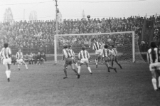 Skan Negatywu, Sygnatura 13313