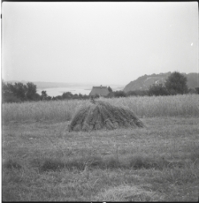 Skan Negatywu, Sygantura 572