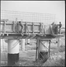 Skan Negatywu, Sygnatura 609