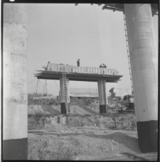 Skan Negatywu, Sygnatura 609