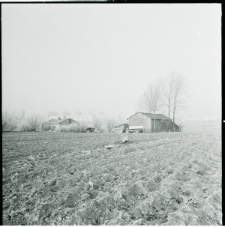 Skan Negatywu, Sygnatura 743