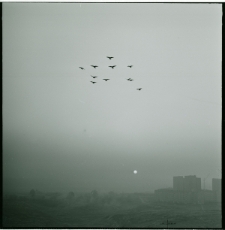 Skan Negatywu, Sygnatura 744