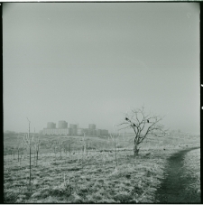 Skan Negatywu, Sygnatura 744