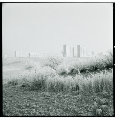 Skan Negatywu, Sygnatura 746