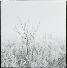 Skan Negatywu, Sygnatura 747