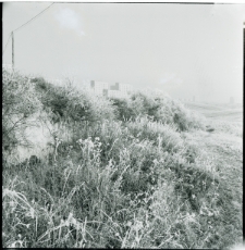 Skan Negatywu, Sygnatura 747