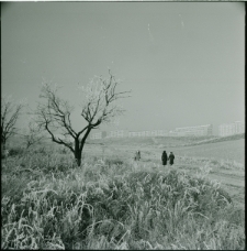 Skan Negatywu, Sygnatura 750