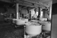 Skan Negatywu, Sygnatura 2095