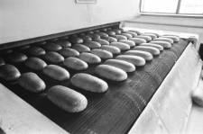 Skan Negatywu, Sygnatura 2095