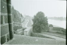 Skan Negatywu, Sygnatura 2095