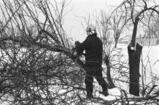 Skan negatywu, sygnatura 3038